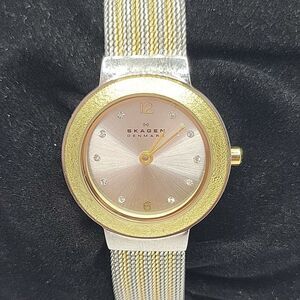 SKAGEN SKW2157 Women's Stainless Steel Analog Gold Dial Quartz Wrist Watch AM597
